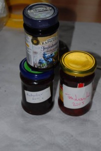 12717804_880004988784333_7884959214167561637_n