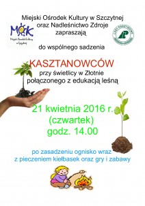 sadzenie_kasztanowc_w_